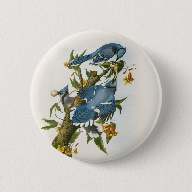 Blue Jay Button (Front)