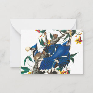 Blue Jay by John James Audubon Card