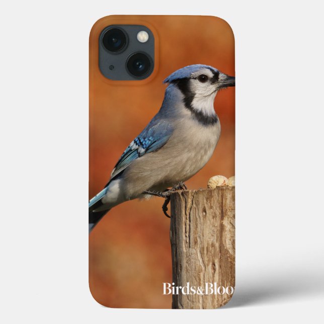Blue Jay Case-Mate iPhone Case (Back)