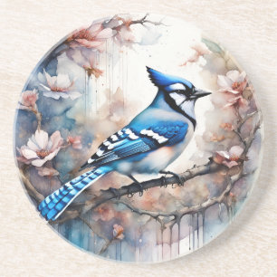 Blue Jay Cherry Blossoms watercolor Coaster