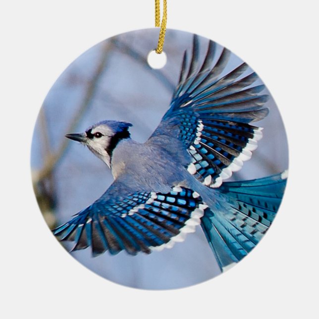 Blue Jay Christmas Ornament (Front)