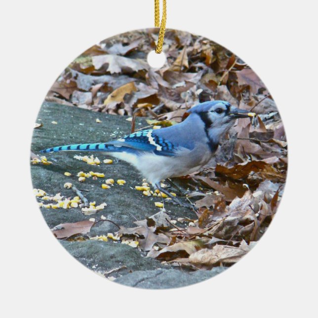 Blue Jay Christmas Ornament (Front)