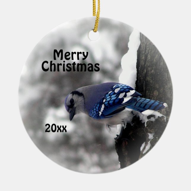 Blue Jay Christmas Ornament Merry Christmas Year (Front)