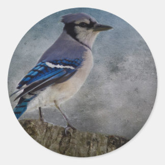 Blue Jay Classic Round Sticker