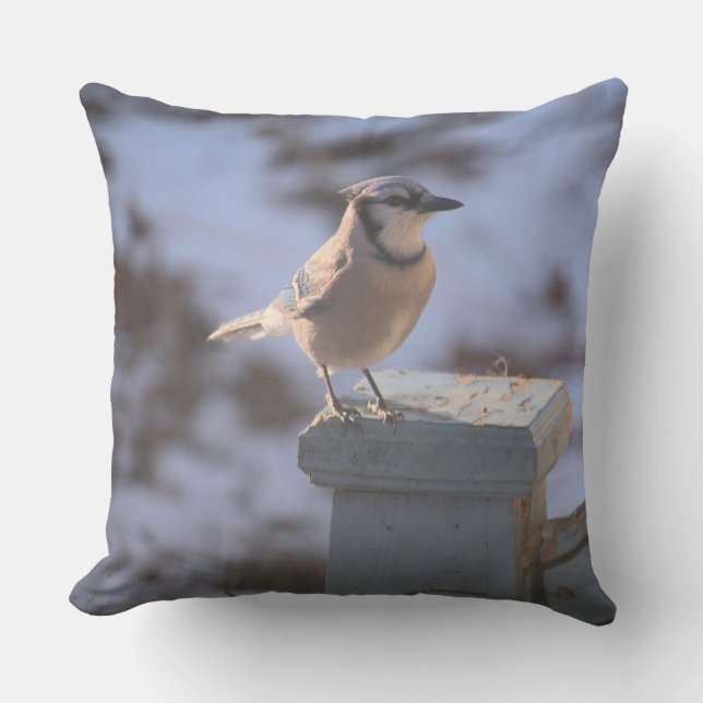 Blue Jay Cushion (Front)