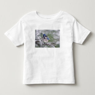 Blue Jay, Cyanocitta cristata Toddler T-Shirt