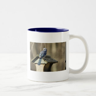 Blue Jay Feathers Mug
