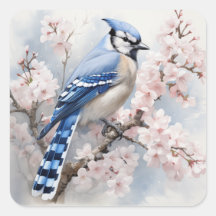 Blue Jay Garden