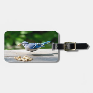Blue Jay getting a peanut Luggage Tag