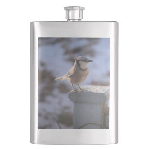Blue Jay Hip Flask