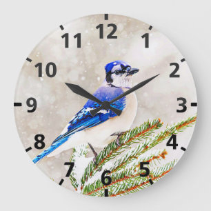Blue jay in a pine tree with snow large clock