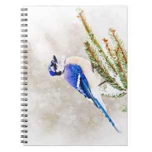 Blue jay in a pine tree with snow spiral notebook