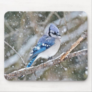 Blue Jay in a Snowstorm Mouse Pad