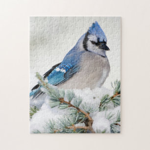Blue Jay in Blue Atlas Cedar Jigsaw Puzzle