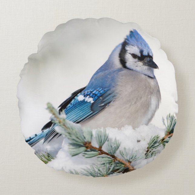 Blue Jay in Blue Atlas Cedar Round Cushion (Front)
