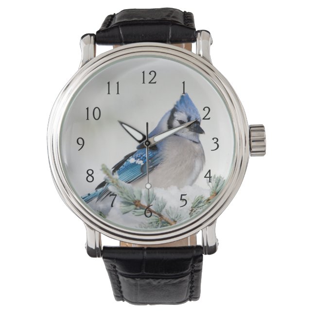 Blue Jay in Blue Atlas Cedar Watch (Front)