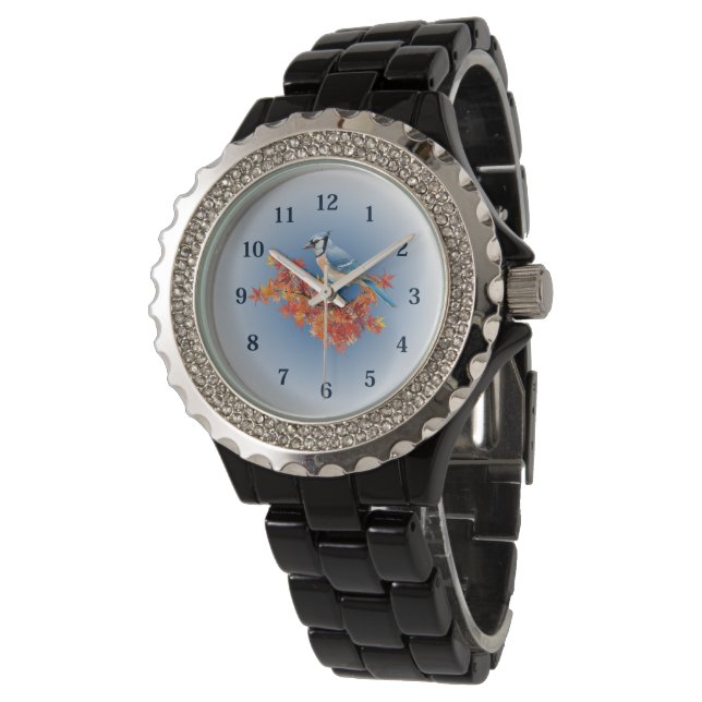 Blue Jay in Fall Colors Watch (Angled)