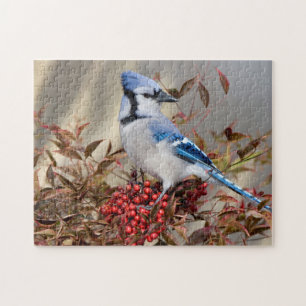 Blue Jay in Nandina Heavenly Bamboo Jigsaw Puzzle