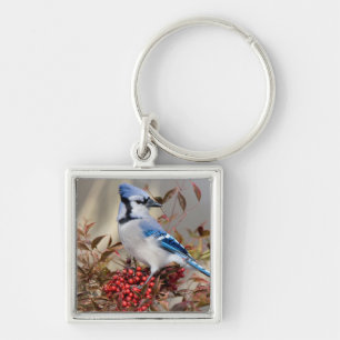 Blue Jay in Nandina Heavenly Bamboo Key Ring