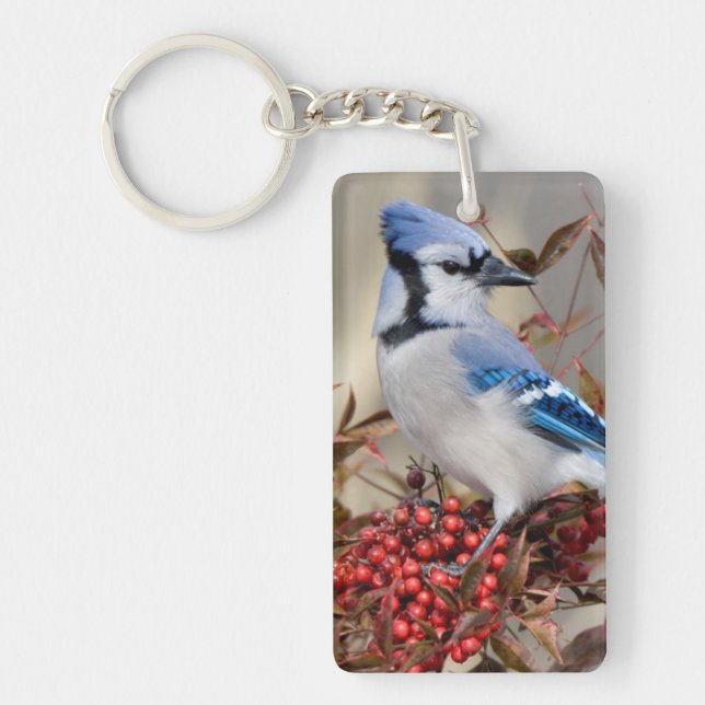 Blue Jay in Nandina Heavenly Bamboo Key Ring (Front)
