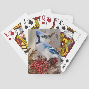 Blue Jay in Nandina Heavenly Bamboo Playing Cards