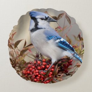 Blue Jay in Nandina Heavenly Bamboo Round Cushion