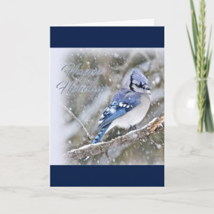 Blue Jay in Snow Christmas Holiday Card