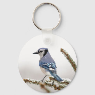 Blue Jay in Winter Key Ring