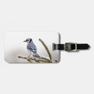 Blue Jay in Winter Luggage Tag