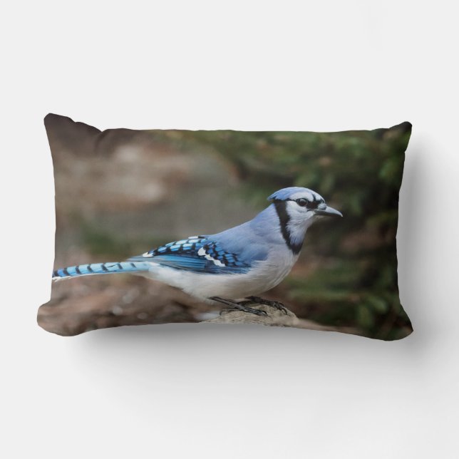 Blue Jay in Winter Lumbar Cushion (Front)