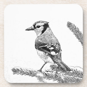 Blue Jay in Winter Sketch Coaster