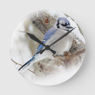 Blue Jay in Winter Snow Round Clock