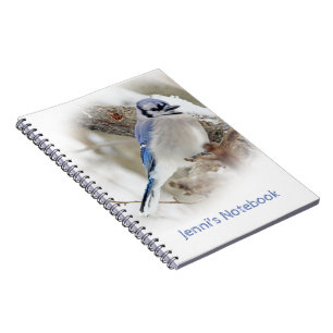 Blue Jay in Winter Snow Spiral Notebook