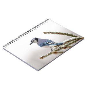 Blue Jay in Winter Spiral Notebook