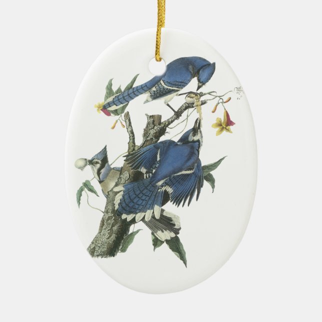 Blue Jay, John Audubon Ceramic Tree Decoration (Front)