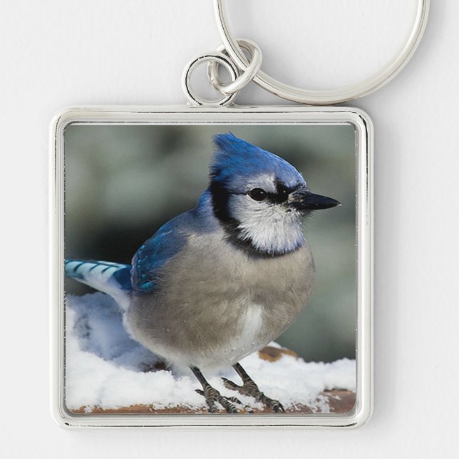 Blue Jay Key Ring (Front)