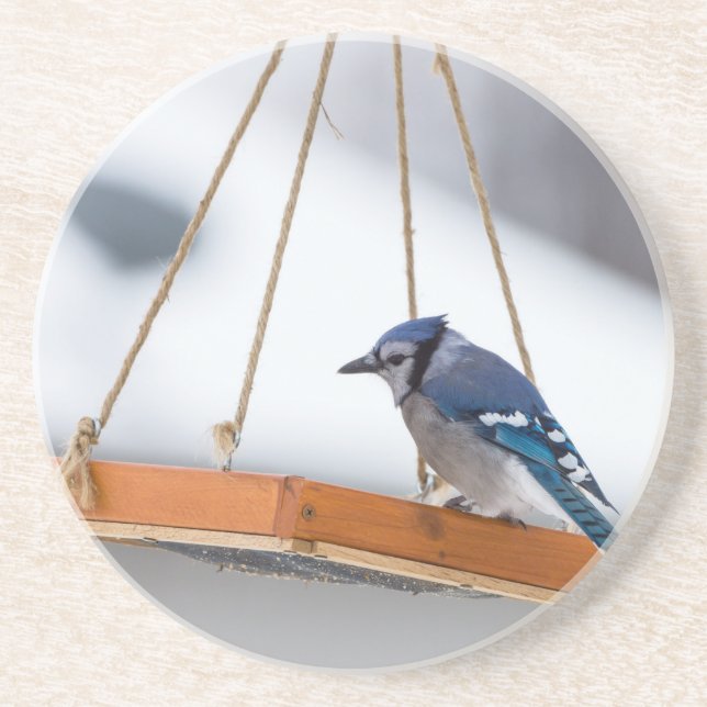 Blue Jay Lunch Coaster (Front)