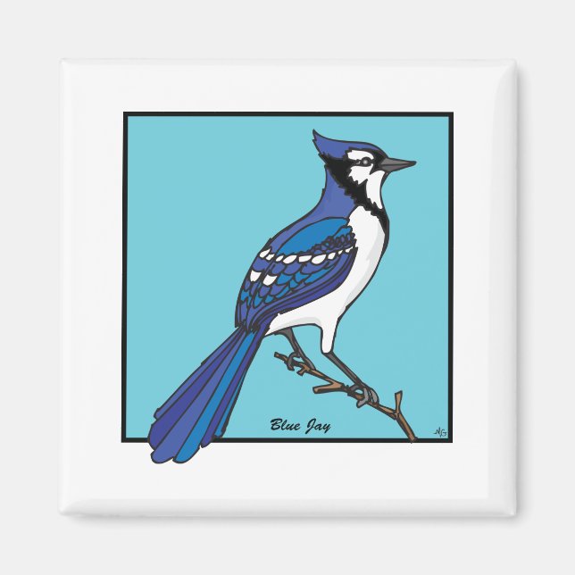 BLUE JAY MAGNET (Front)