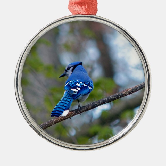 Blue Jay Metal Tree Decoration (Front)