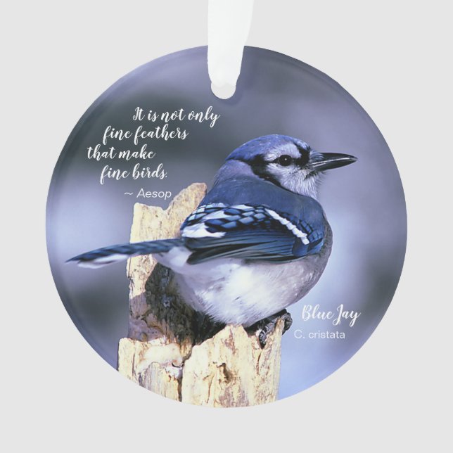 Blue Jay on Post Photo w/Quote Birds Nest w/Eggs Ornament (Front)
