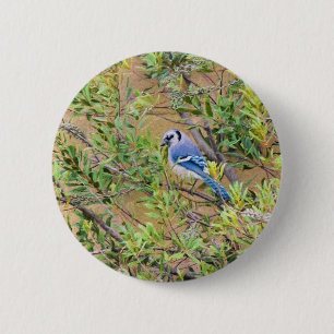 Blue Jay on Southern Wax Myrtle 6 Cm Round Badge