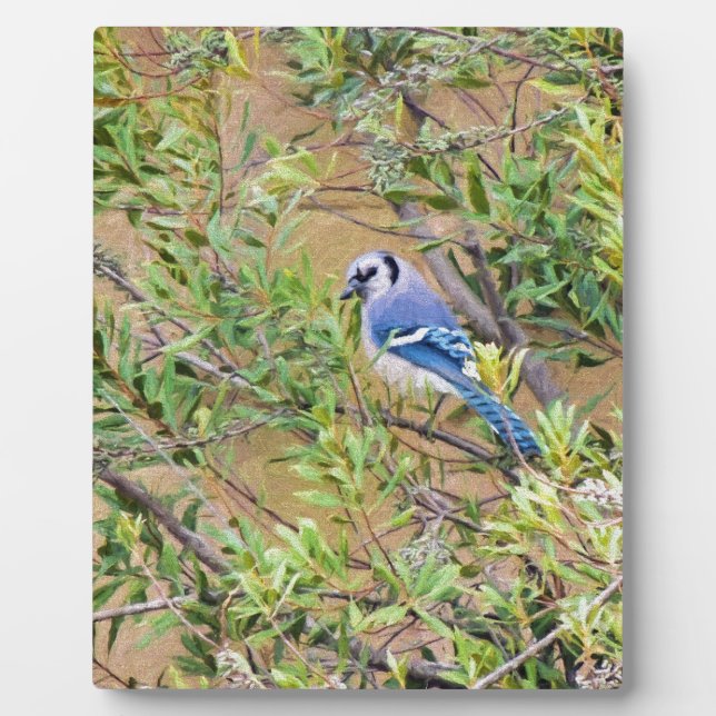 Blue Jay on Southern Wax Myrtle Plaque (Front)
