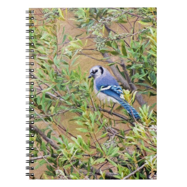 Blue Jay on Wax Myrtle Spiral Notebook (Front)