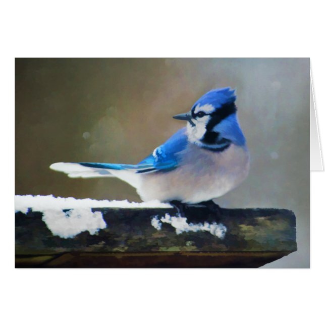 Blue Jay Painting - Original Bird Art (Front Horizontal)