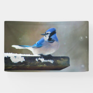 Blue Jay Painting - Original Bird Art Banner