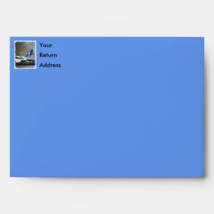 Blue Jay Painting - Original Bird Art Envelope