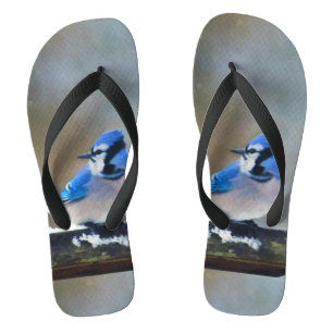 Blue Jay Painting - Original Bird Art Jandals