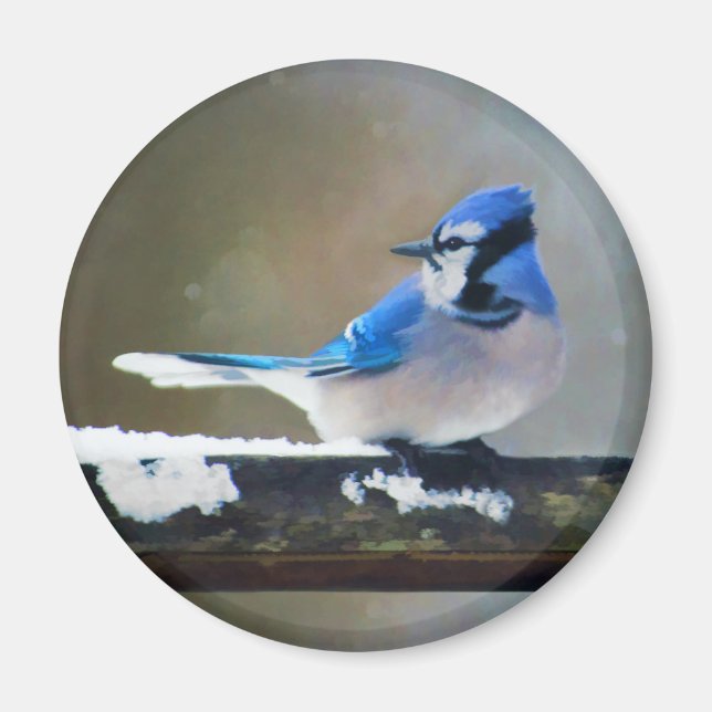Blue Jay Painting - Original Bird Art Magnet (Front)