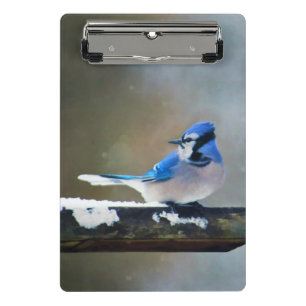 Blue Jay Painting - Original Bird Art Mini Clipboard
