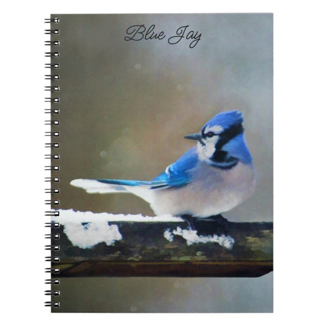 Blue Jay Painting - Original Bird Art Notebook (Front)